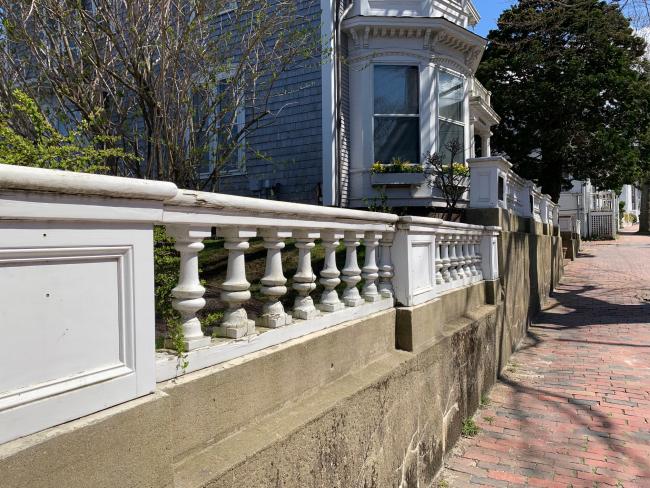 Part of fence in early May